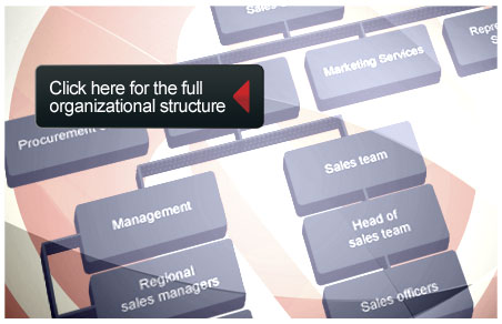 The organizational chart of the Interpromet Novi Grad Ltd. Company